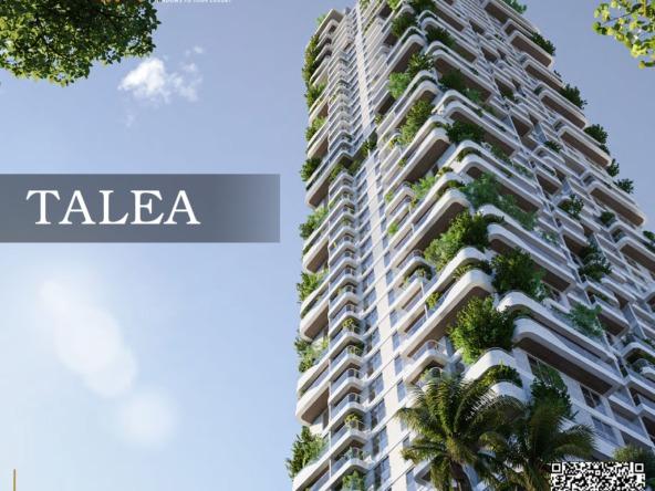 Talea By Beyond